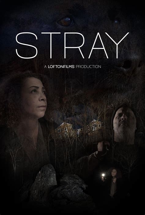 strays imdb|strays film 2022.